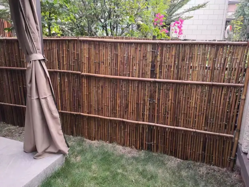 bamboo-fence