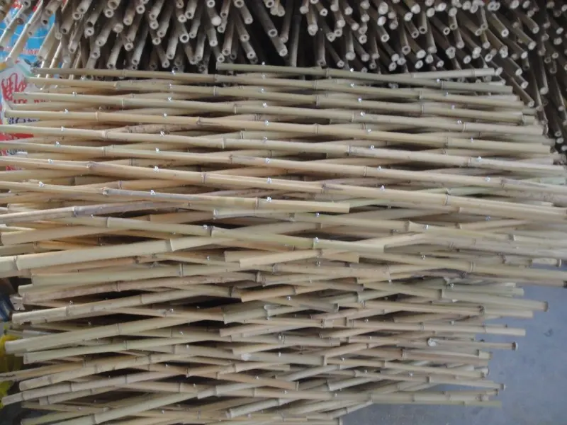 bamboo-fence-China