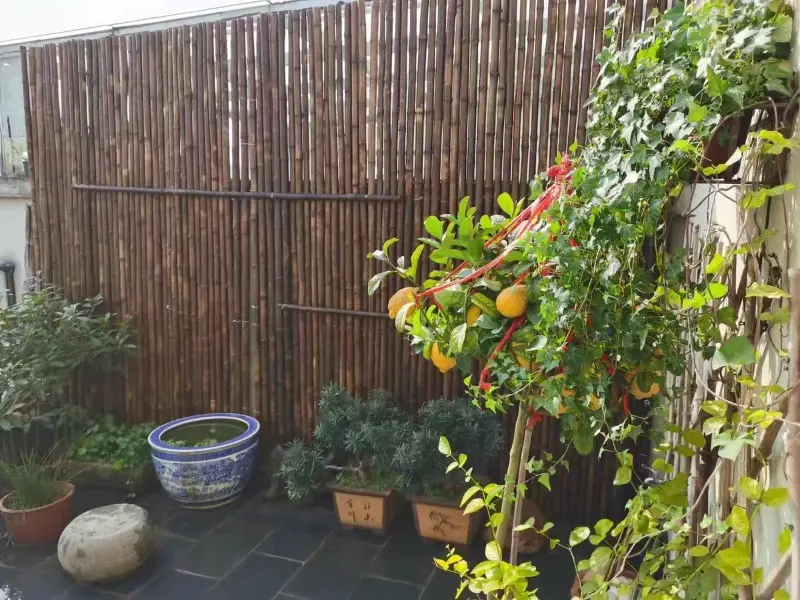 bamboo-fence-for-sale