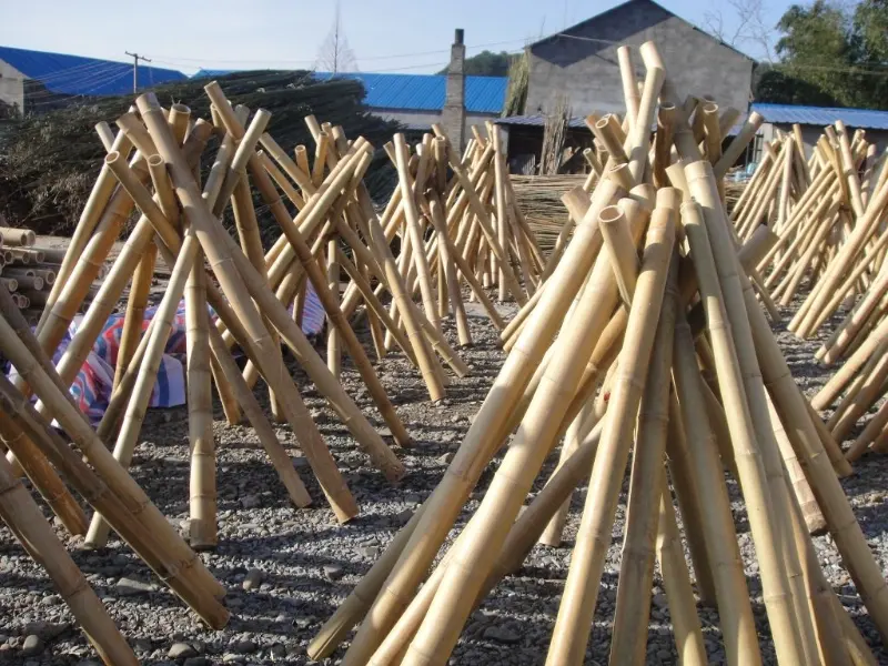 bamboo-poles-natural