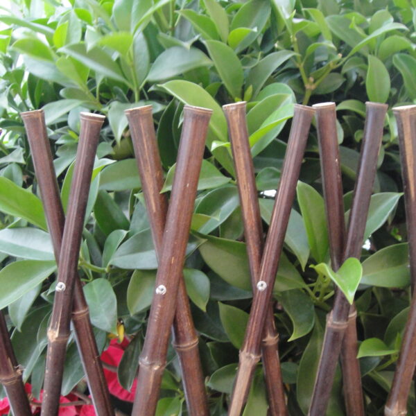 Bamboo Garden Trellis Plant Climbing