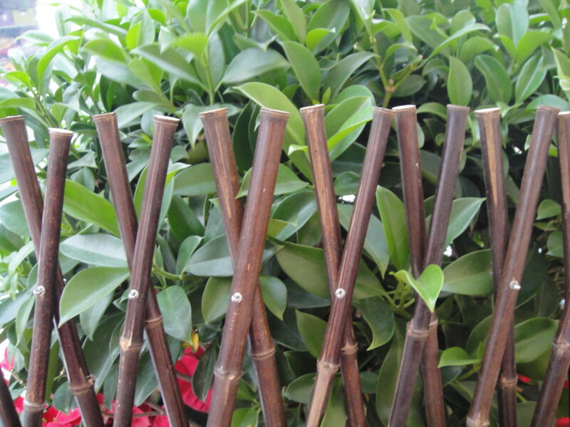 black-bamboo-trellis