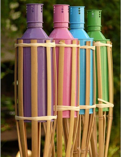 color-torch