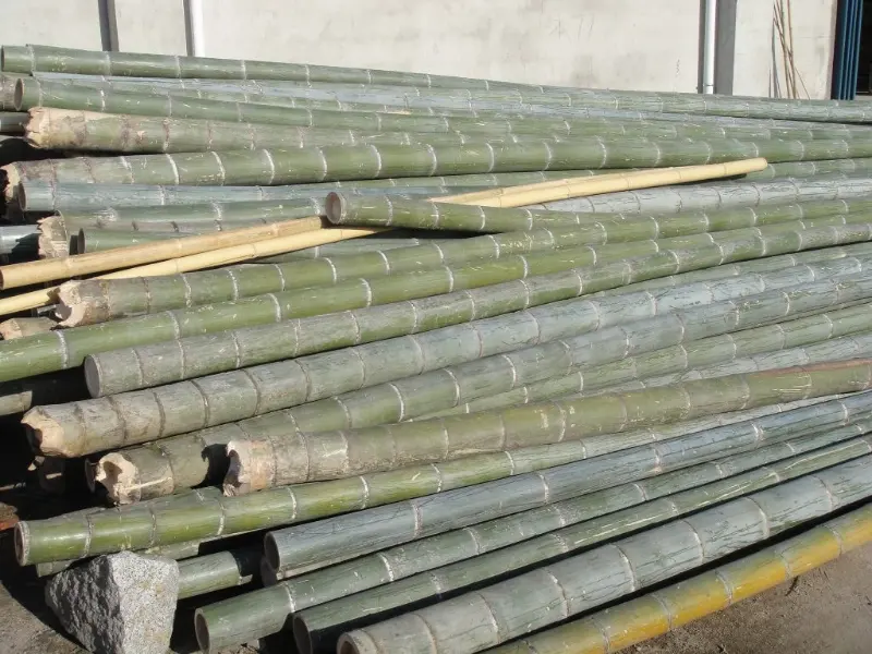 eco-friendly-Moso-bamboo