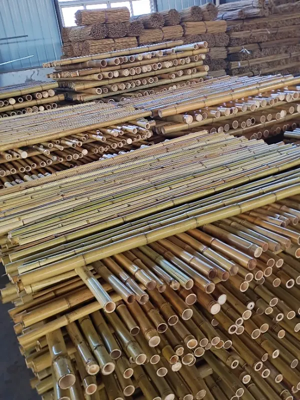 natural-color-dry-bamboo-pole