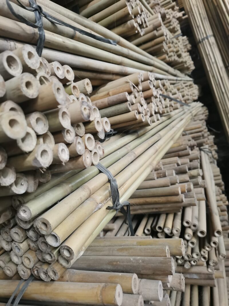 tonkin-bamboo-11-scaled