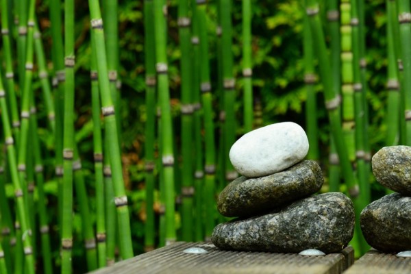 unionbamboo